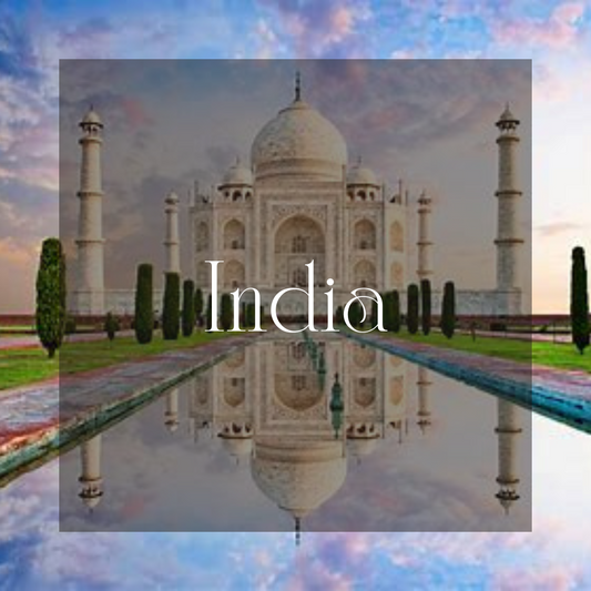 2023 India-Transformative Wellness Retreat