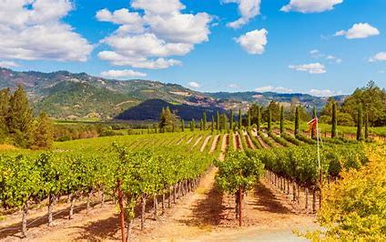 Napa Valley Wine Tours -California